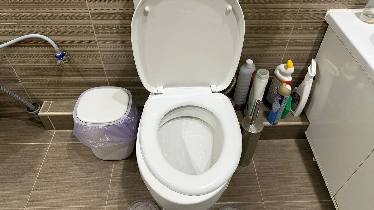 Почему нельзя кидать туалетную бумагу в унитаз и выливать туда суп: вы этого точно не знали - теперь так никогда не делаю