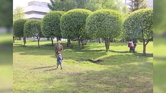 Главная картинка новости: Екатеринбургская епархия попросила отложить опрос о строительстве собора на месяц