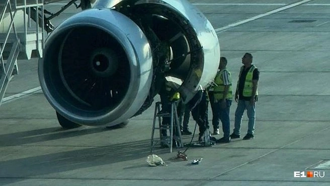 Главная картинка новости: Екатеринбуржцы застряли в Египте: пассажиры наблюдают за ремонтом своего самолета