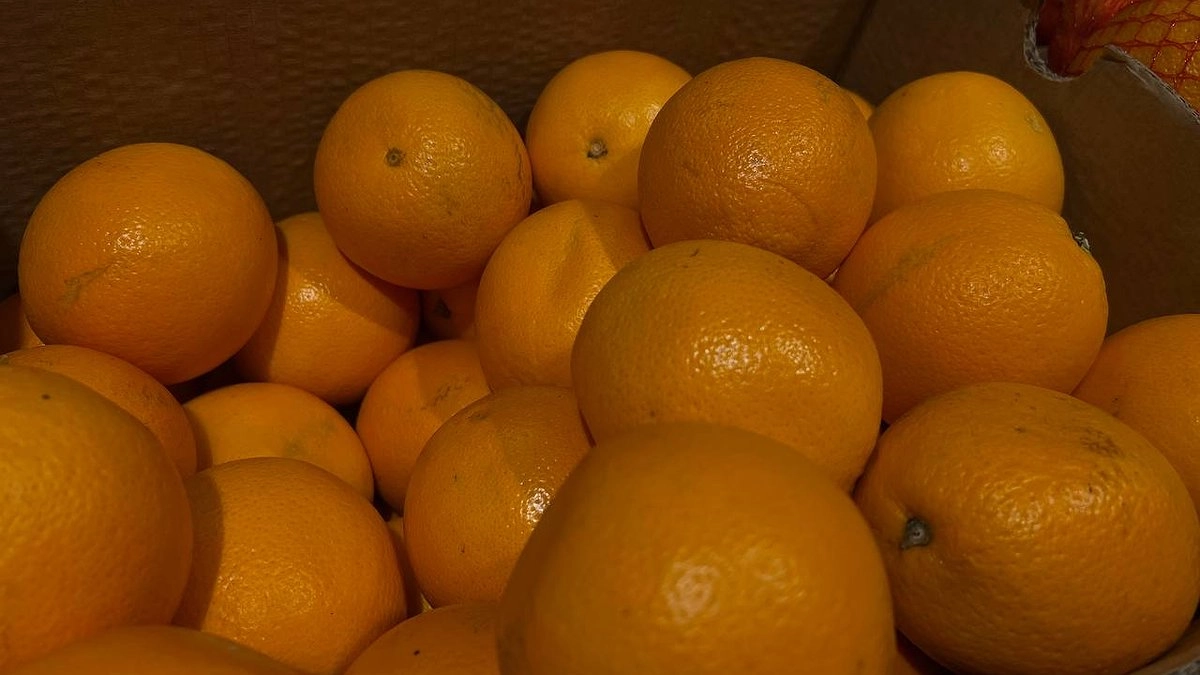 Главная картинка новости: Фурами из-за границы: почти 1000 тонн фруктов и овощей за неделю привезли на Урал