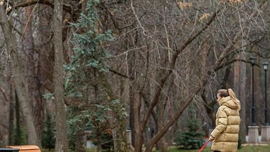 Парк раздора: почему жители и активисты недовольны реконструкцией Зеленой Рощи