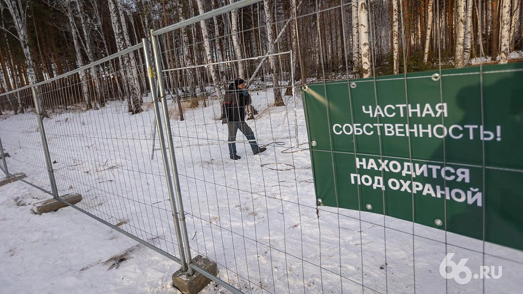 Главная картинка новости: Мэрия Екатеринбурга и защитники рощи договорились