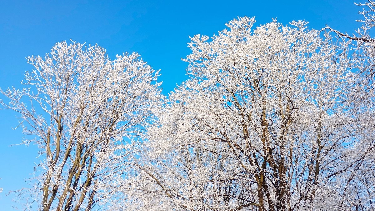 "Такой зимы в 21 веке еще не было": ужасающий прогноз на декабрь, январь и февраль