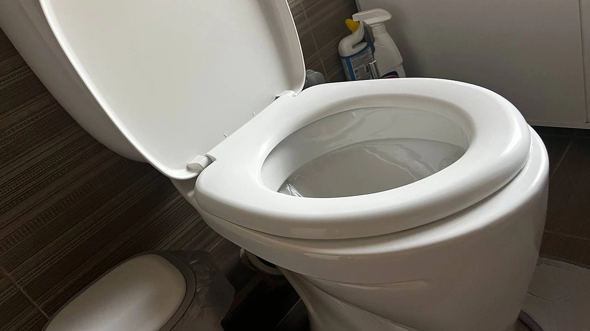 Муж крутит пальцем у виска, но унитаз сияет, как бриллиант: кинуть пару чайных пакетиков – и будет чудо