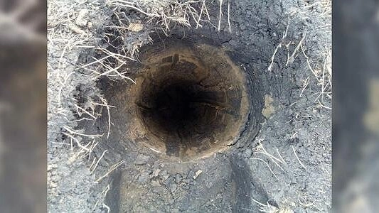 "Едва смог ее разглядеть": екатеринбуржец вытащил ондатру из двухметровой ямы