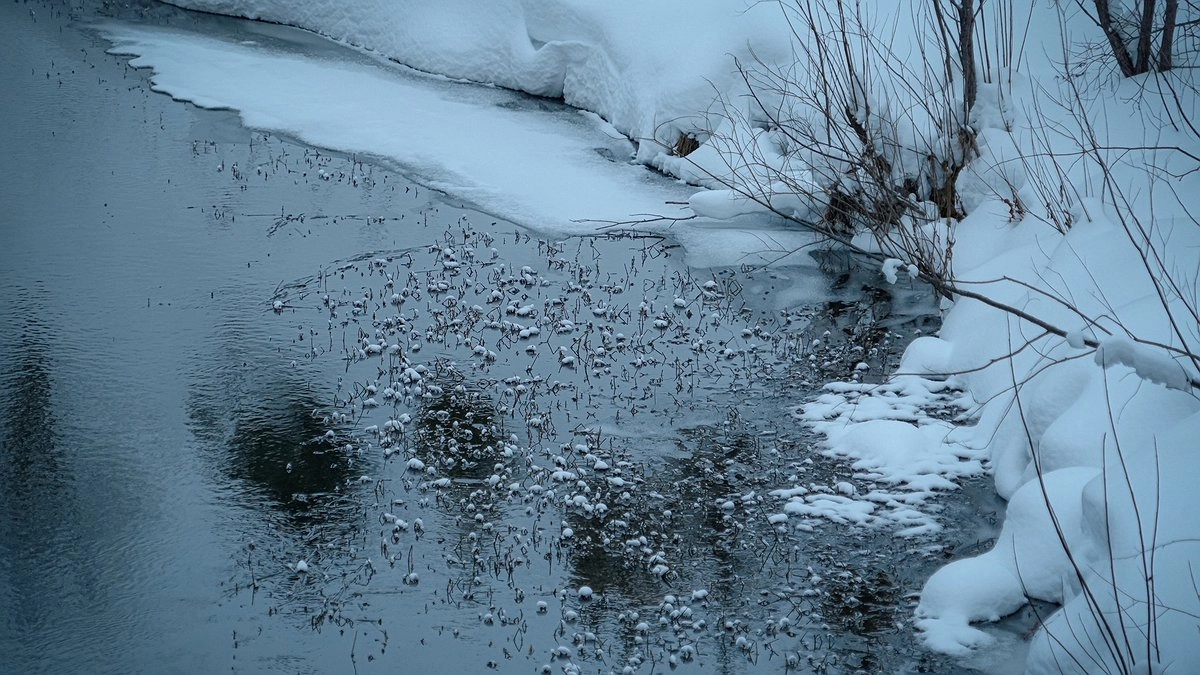 Выходные в Свердловской области: оттепель сменится снегопадом