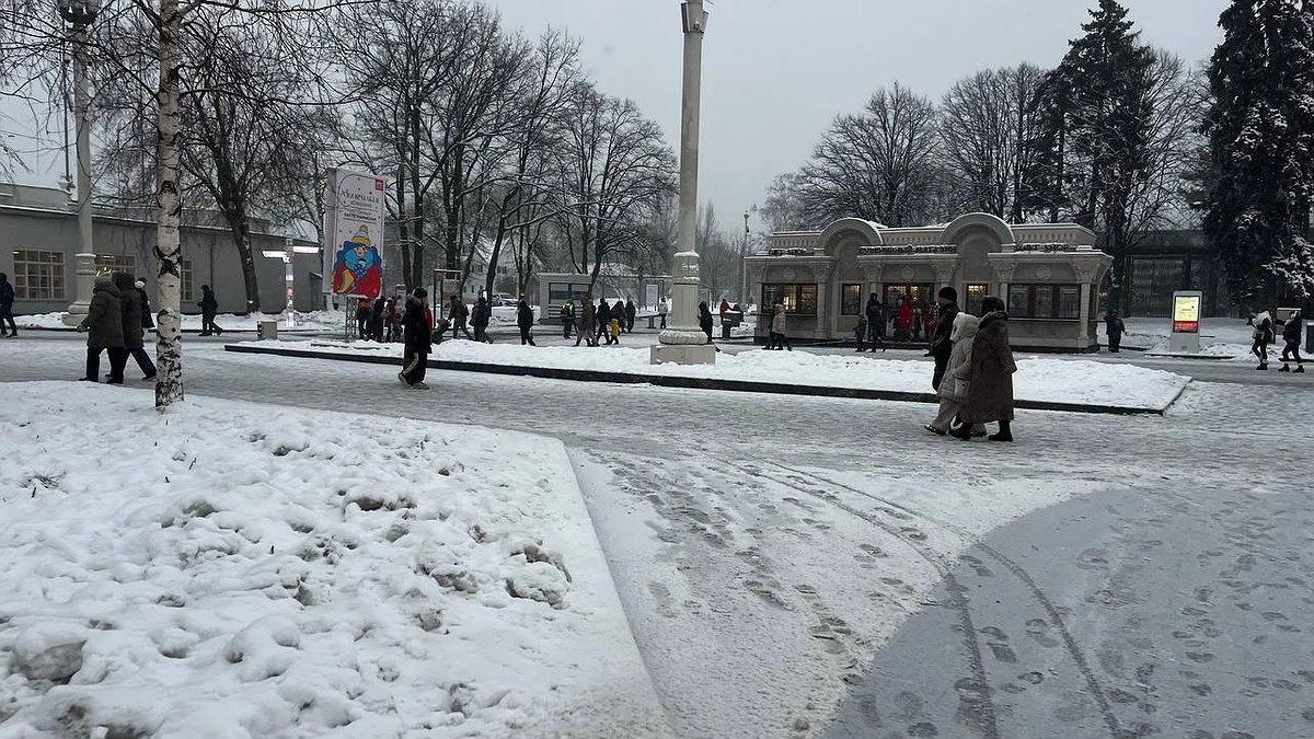 Зима еще даже не началась: Роман Вильфанд рассказал, когда придут сумасшедшие морозы в -40 градусов