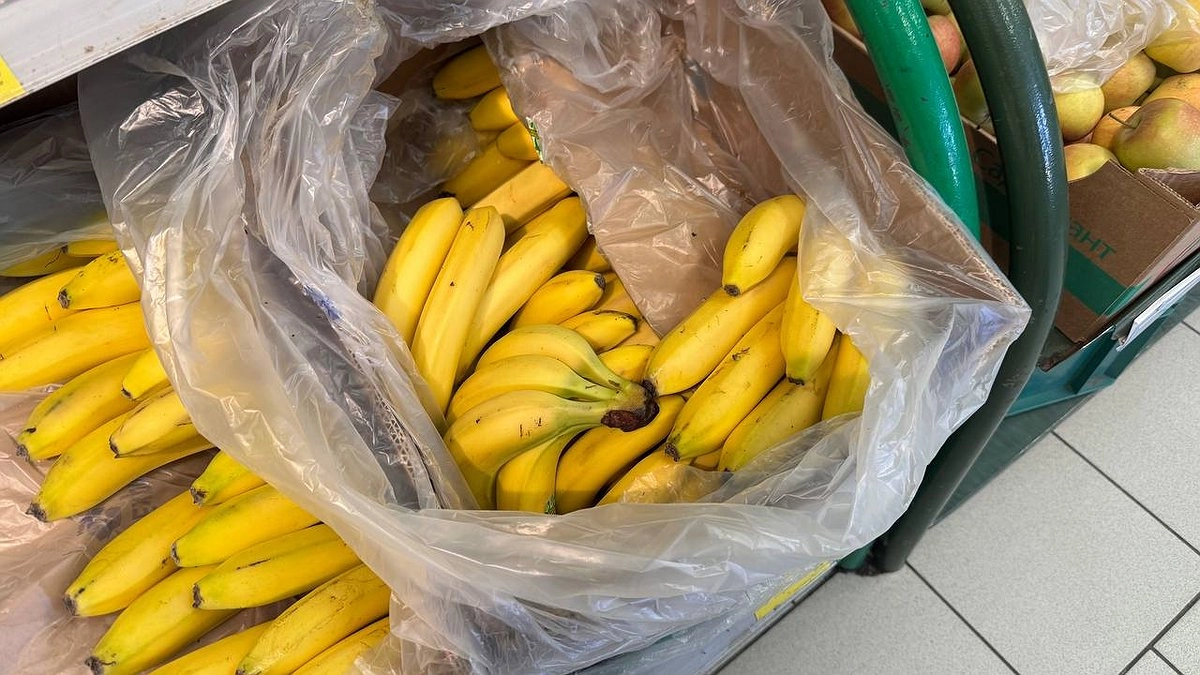 Главная картинка новости: Зачем работники «Пятерочки» и «Магнита» припрятывают для себя крошечные пакетики из ящиков с бананами