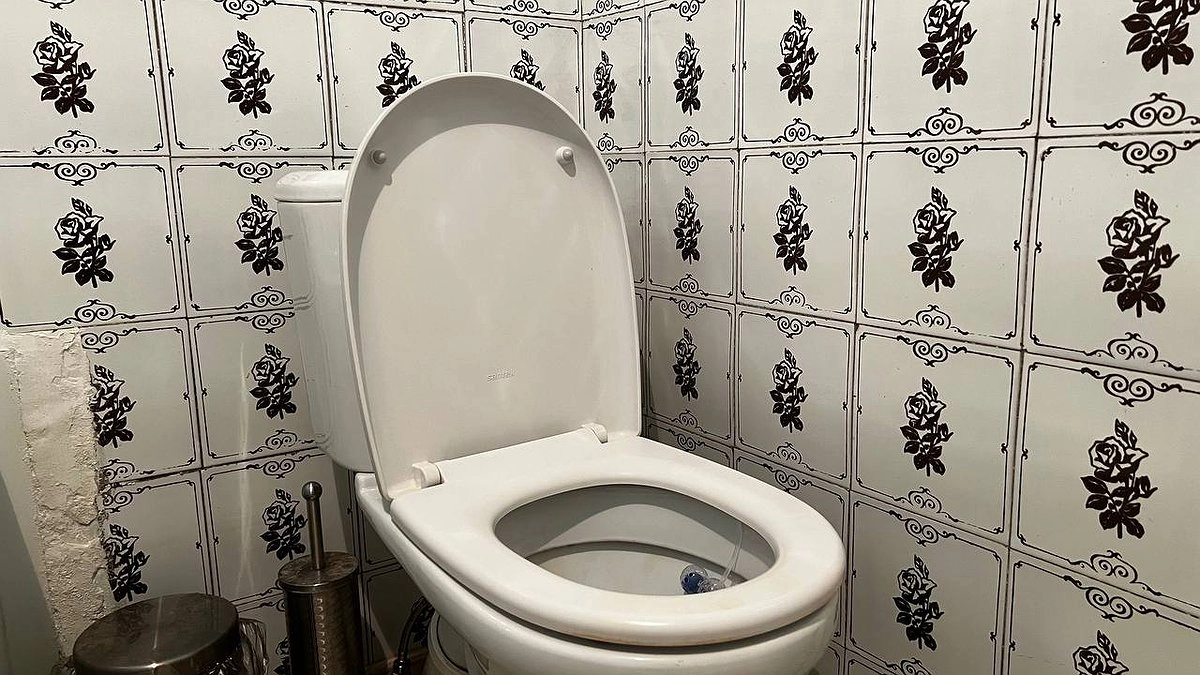 Главная картинка новости: Дно унитаза отмыла на раз-два - даже ершик не пригодился: заливаем и смываем - налета как не бывало