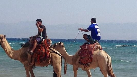 Курорты Черного моря упростили "ковидные" ограничения для туристов