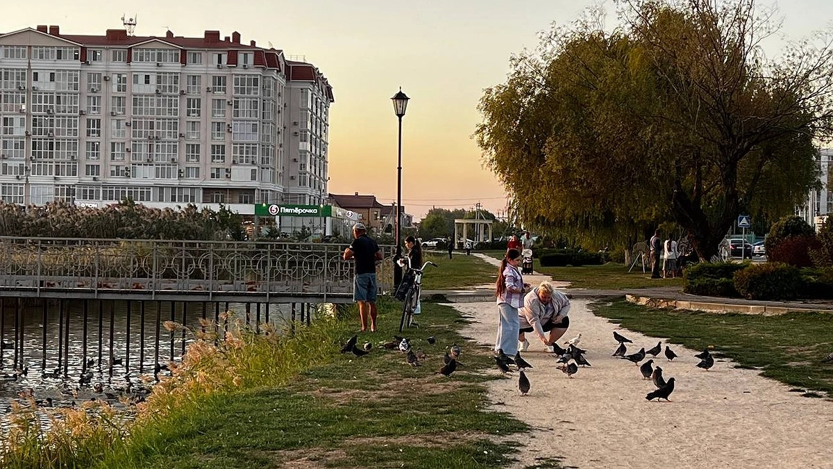 Какие 4 привычки говорят о высоком интеллекте человека: психологи по ним определяют гениев