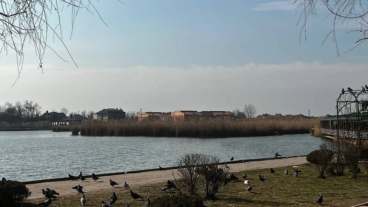 Чистые пляжи без мазута: жительница Черноморского побережья рассказала туристам, где отдохнуть этим летом