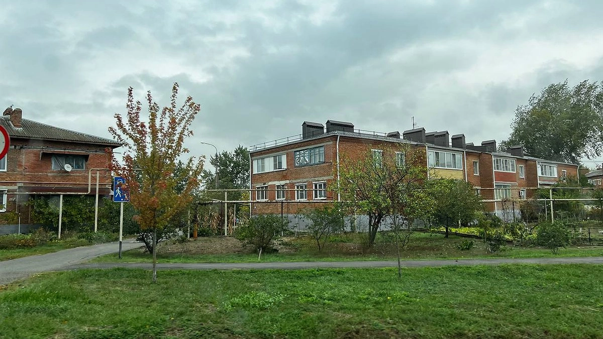 Такая дешевая крупа превратит бетонную почву в чернозем осенью: экономно и действенно