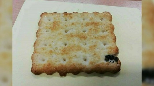 "Это не очень хорошо": екатеринбурженка нашла в пачке печенья муху