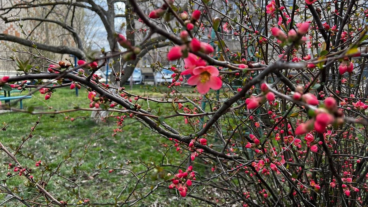 Главная картинка новости: Вильфанд обновил прогноз: в начале мая россиян ждет неприятное похолодание и ливни