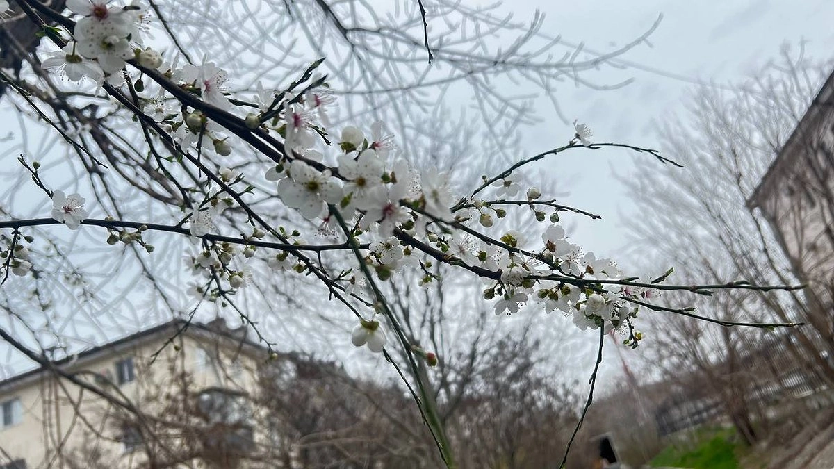 Похолодание на Урале продержится недолго: синоптики рассказали, когда вернётся тепло