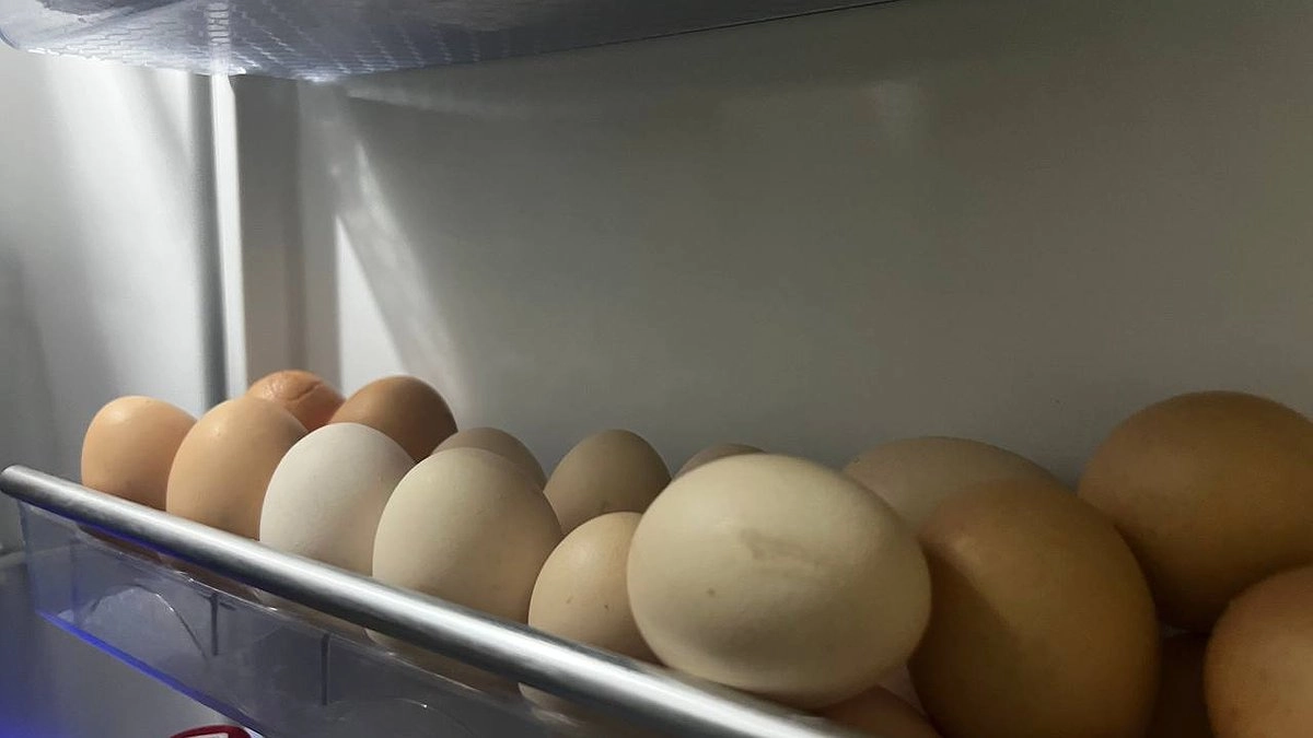 Вы годами делали это неправильно: учёные объяснили, сколько хранятся варёные яйца — вот что с ними потом происходит