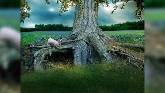 Главная картинка новости: Галерея «Свитер»: подворье «Кроличья нора» - 7, 8 марта