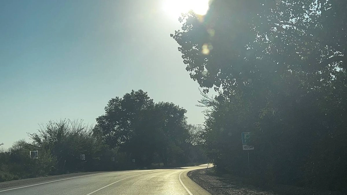 Водители огорошены - в России сделали важное заявление о возвращении обязательного техосмотра