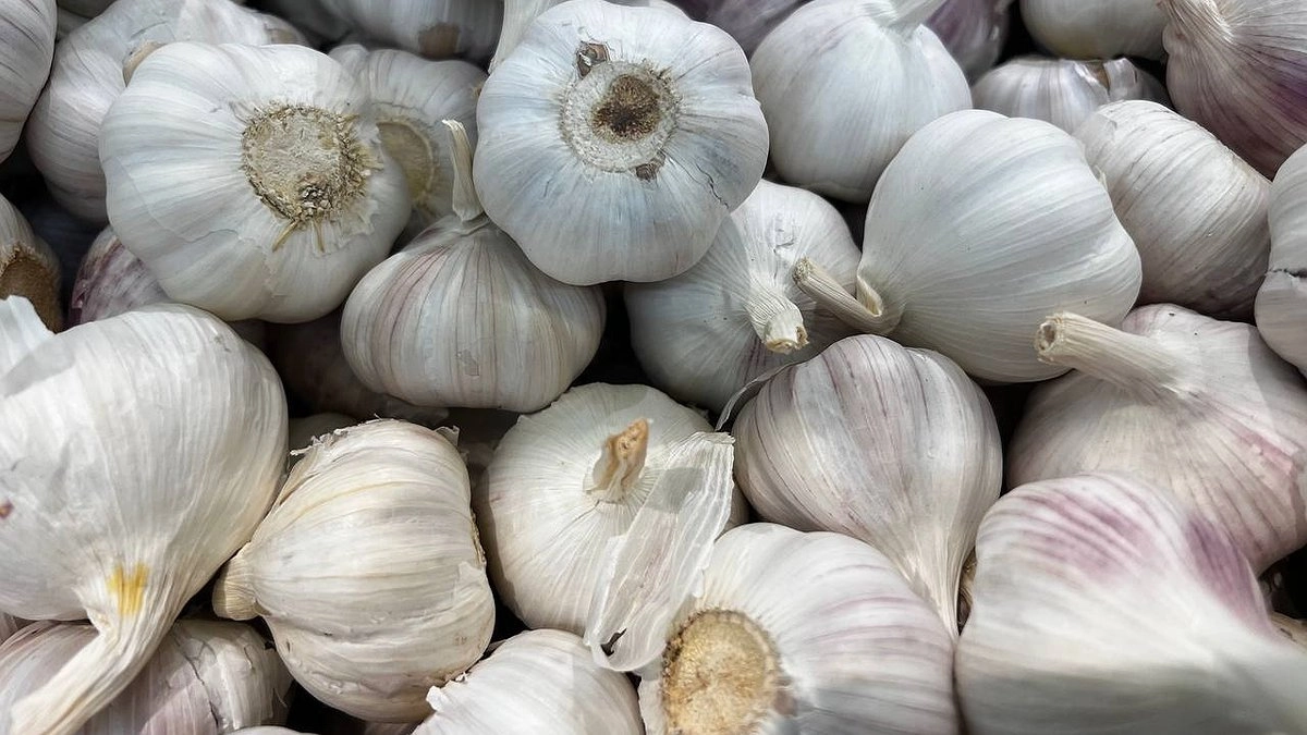 Главная картинка новости: Где точно нельзя сажать лук и чеснок