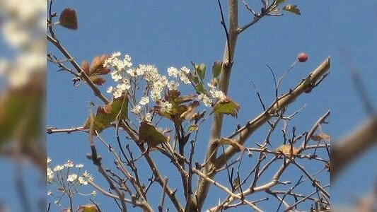 Главная картинка новости: Без осадков и +13: синоптики рассказали о погоде в Екатеринбурге