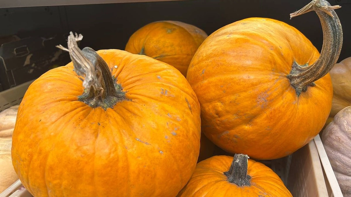 Советы долгого хранения тыквы: как сохранить до весны