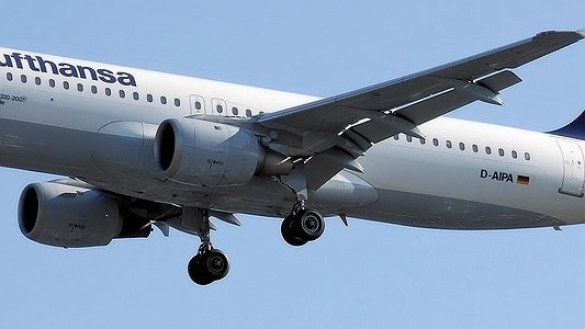 Житель Китая, из-за которого экстренно посадили самолет «Lufthanza» в Кольцово, лежит в реанимации - 30 марта 2015 года