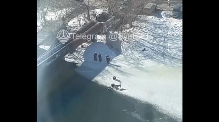 Рискуя собственной жизнью: в Екатеринбурге мужчина спас упавшую в реку собаку