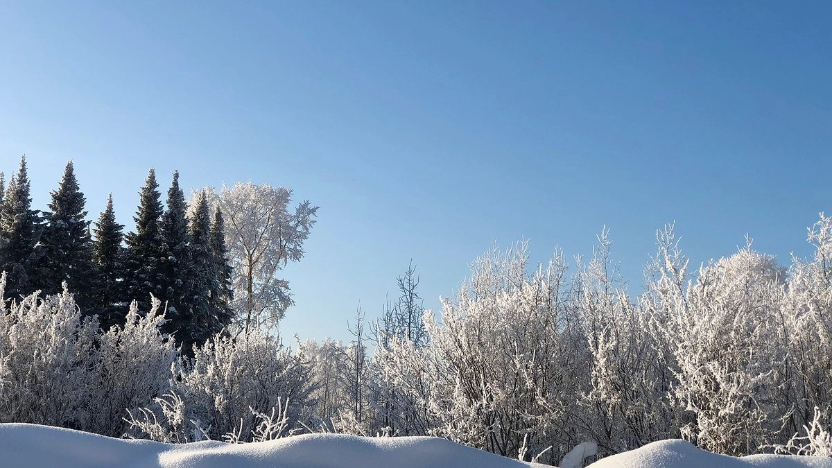 Главная картинка новости: Морозы на подходе: синоптики назвали точную дату похолодания в Свердловской области
