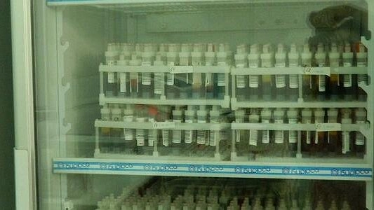 На Среднем Урале зарегистрировали почти 300 новых случаев Covid-19