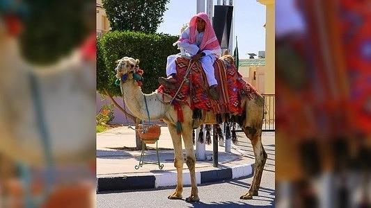 Наши земляки в Египте: «На улицах пусто, люди грустные» - с египетских курортов вывозят последних российских туристов - 13 ноября 2015