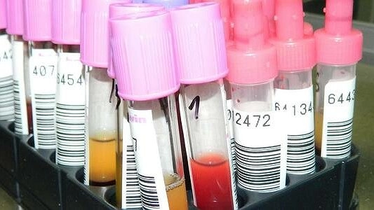 Цифры держатся: в Свердловской области 208 новых случаев коронавируса