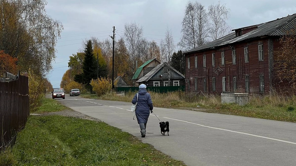 С 1 апреля введут новые правила для выгула собак