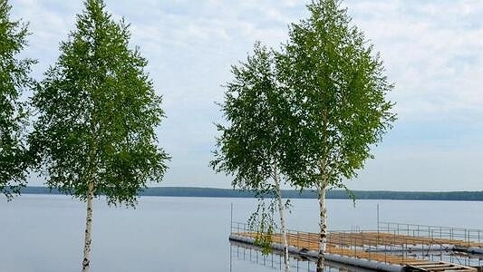 Пляжи Урала ждет проверка после смерти на водоеме 13-летней девочки