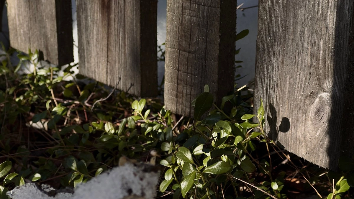 Лето в апреле: в Свердловской области ожидается до +24 градусов