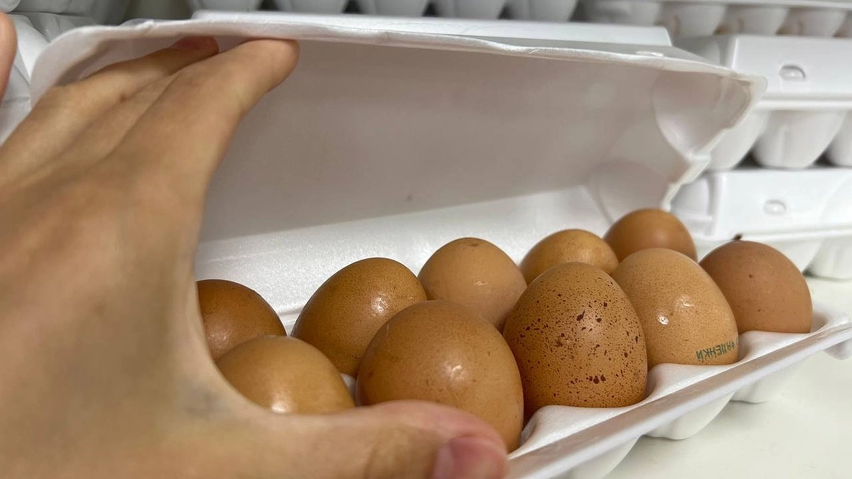 Почему работники магазинов и птицефабрик не берут яйца С0 даже по скидке — ответ проще, чем кажется: как выбрать лучшие яйца