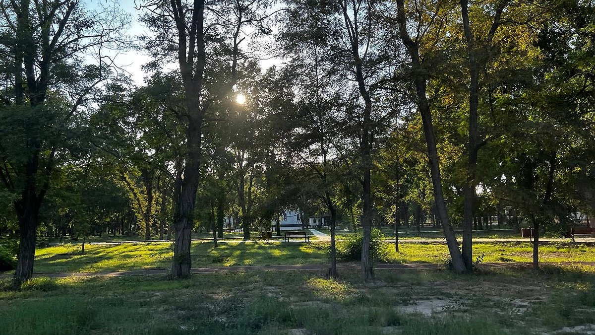 Главная картинка новости: "Температура рухнет больше чем на 10 градусов": Вильфанд дал новый прогноз на май 2025 года