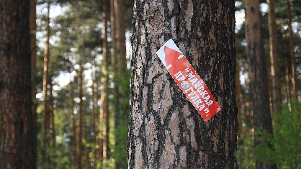 Главная картинка новости: «Майская прогулка» в Екатеринбурге: выбирайте дистанцию и присоединяйтесь