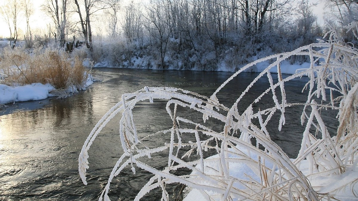 На нас надвигается волна аномального холода: погода с 1 сентября заставит достать куртки, температура рухнет вниз