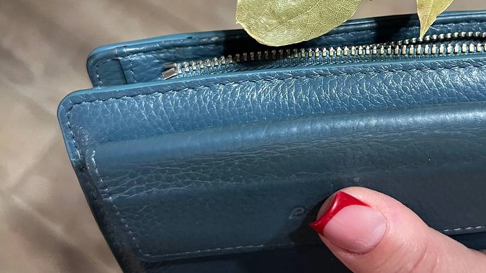 Лавровый лист постоянно держу в кошельке — и всем советую: вот как это работает — странно, но факт