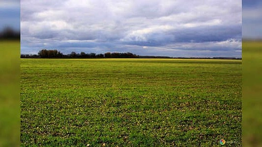 На Урале с опозданием на две недели стартовала посевная