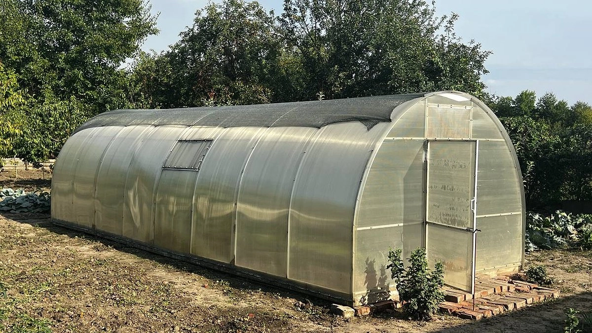 Лайфхаки правильного ухода за теплицей зимой