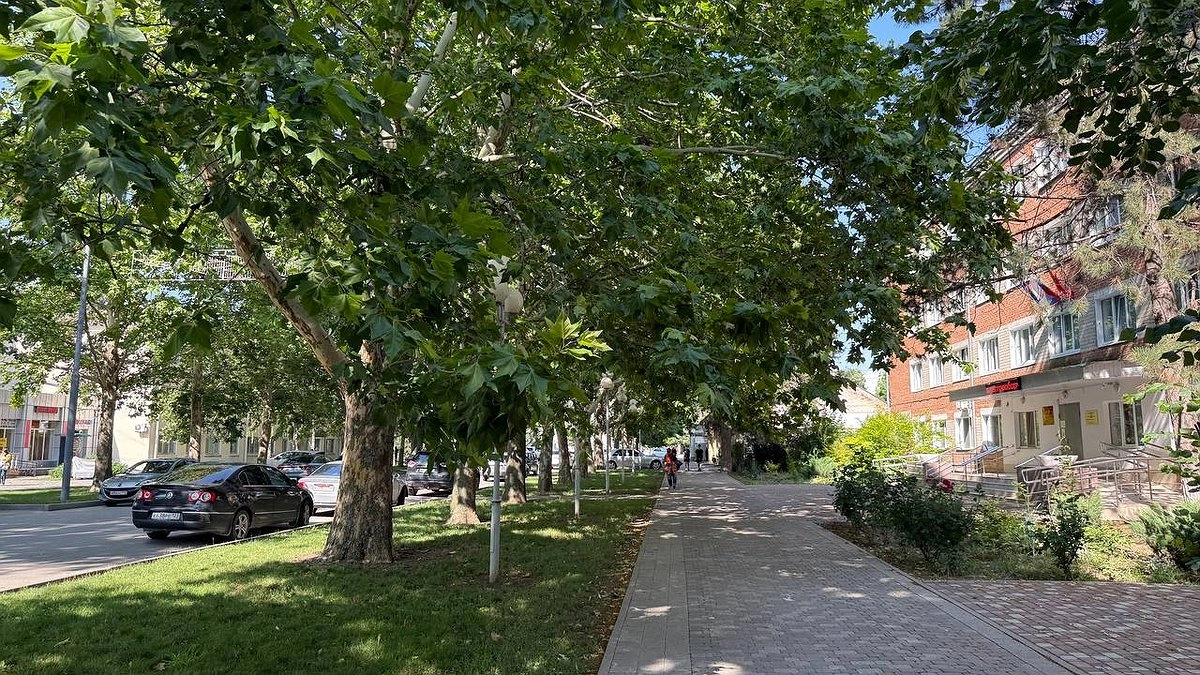 «В августе нагрянет кошмар, которого еще не было»: синоптики неожиданно изменили прогноз