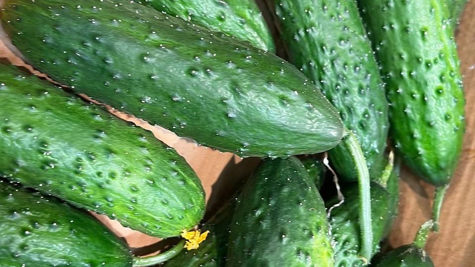 В Свердловской области резко подорожали огурцы с помидорами