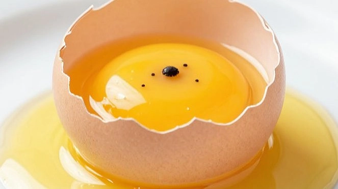 Разбил яйцо, а там точка в желтке: выкидывать или есть можно