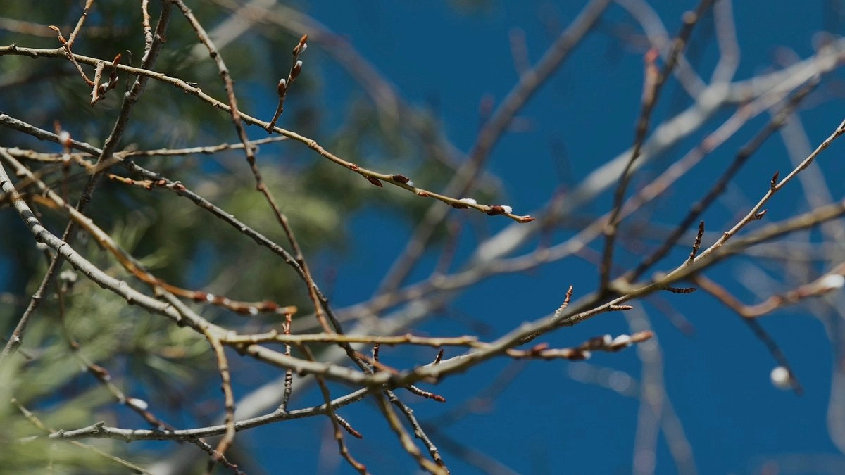 Аномальное тепло идет на Урал: МЧС предупредило о жаре до +24 градусов