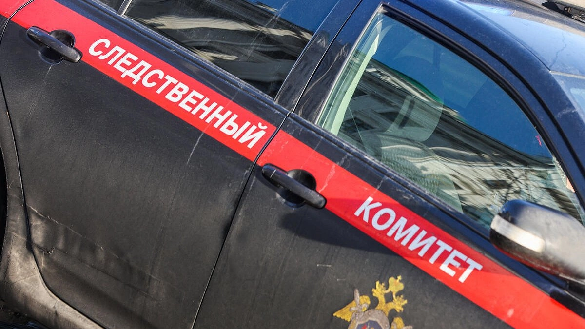 Трехлетняя девочка сбежала из екатеринбургского детсада: СКР возбудил уголовное дело