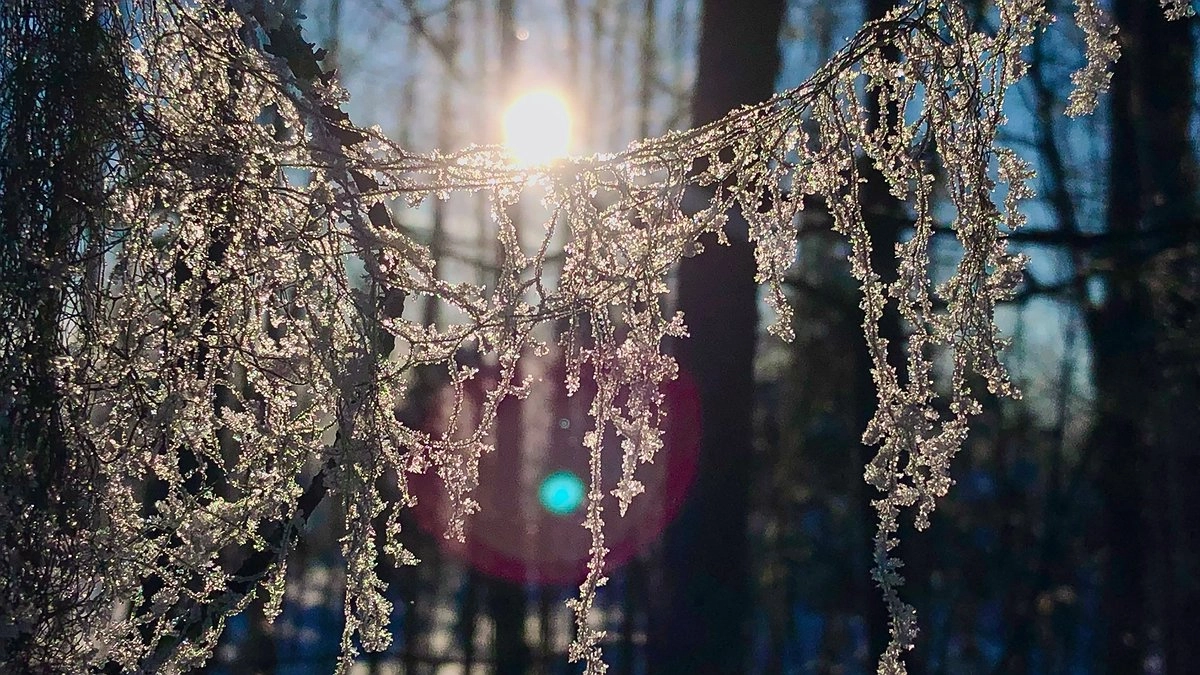 Свердловскую область накроют лютые морозы из-за мощного арктического вторжения
