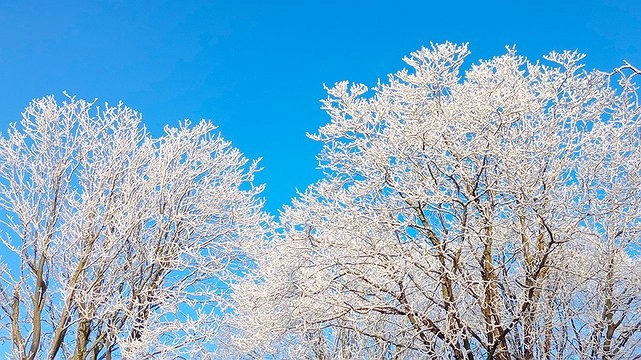 Главная картинка новости: "Эта зима ненормальная": синоптик Вильфанд высказался о погоде 