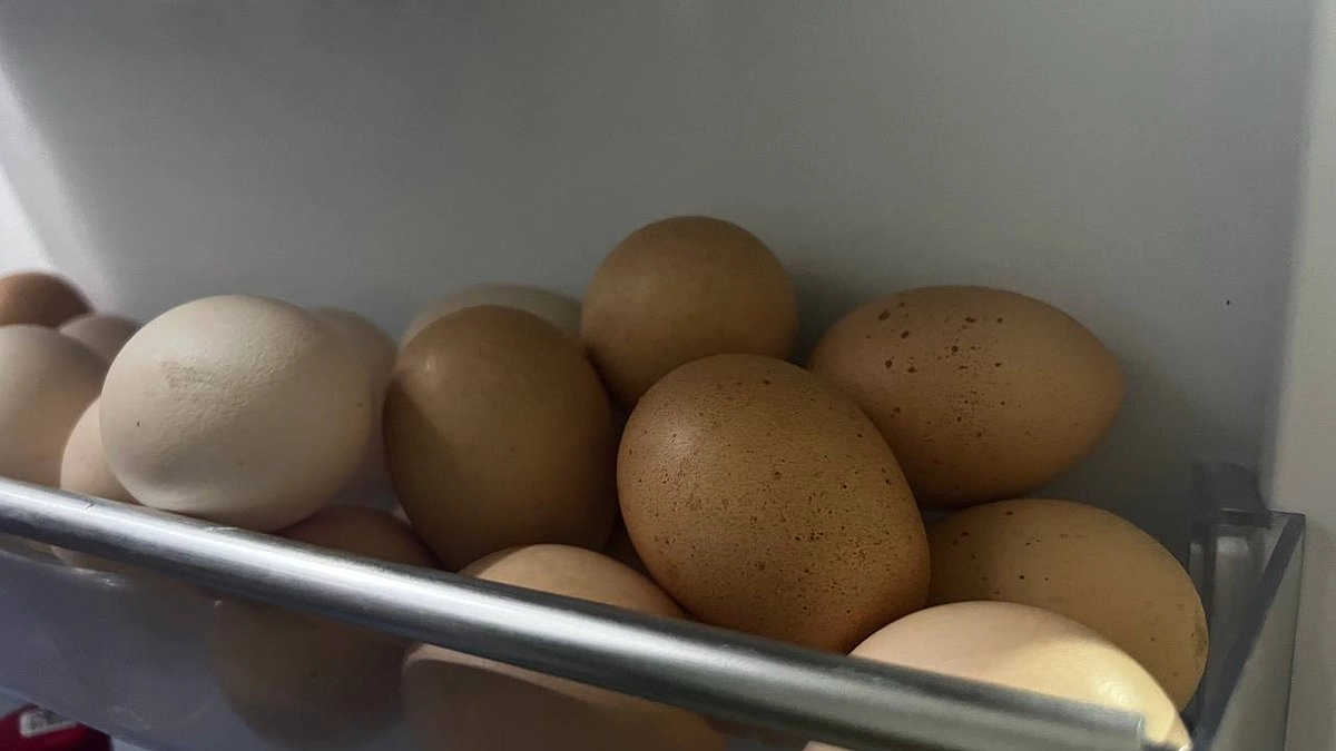 Почему на самом деле яйца после варки нельзя класть в холодную воду. Запомните раз и навсегда